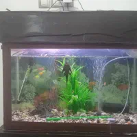 اکواریوم با وسایل