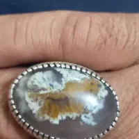 انگشتر شجر دریایی