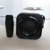 اسپیکر حرفه ای 12 اینچ sing با میکروفون بی سیم|سیستم صوتی خانگی|آفتاب, |دیوار