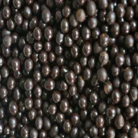 شکلات چیپسی مقاوم به حرارت لوازم قنادی