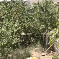 فروش ویلا کوهپایه ،کرمان،،|فروش خانه و ویلا|اسفیچ, |دیوار