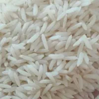 برنج طارم هاشمی اعلا امساله