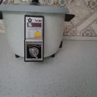 پلوپز برقی
