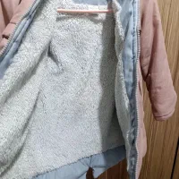 کاپشن|لباس|اردبیل, |دیوار