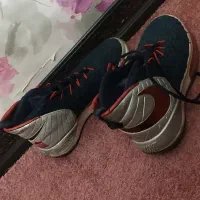 کفش آلفا دانک