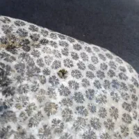 سنگ خاص بی‌نظیر