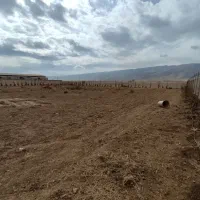 فروش زمین با مجوز گلخانه (باغشهری)|فروش دفتر صنعتی، کشاورزی، تجاری|شیراز, بید زرد|دیوار