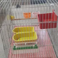 قفس