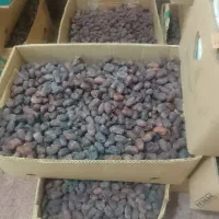 خرمای درجه یک|خوردنی و آشامیدنی|بستک, |دیوار