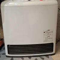 بخاری ژاپنی