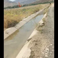 فروش با معاوضه باغ یاسوج بوشهر|فروش دفتر صنعتی، کشاورزی، تجاری|یاسوج, |دیوار