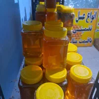 عسل ارگانیک مرغوب کوهی گون|خوردنی و آشامیدنی|شیراز, عادل آباد|دیوار