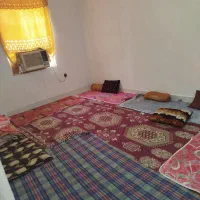 کرایه روزانه|اجارهٔ کوتاهمدت آپارتمان و سوئیت|بندر گناوه, |دیوار