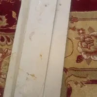 پره سالم