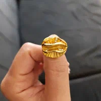انگشتر و گردنی نو
