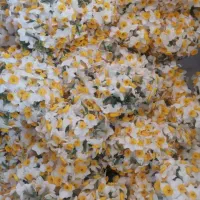 گل نرگس شیراز|گل و گیاه طبیعی|قم, پردیسان|دیوار