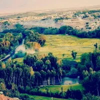 فروش-باغ-در-هر-رنج-قیمتی-باغبهادران