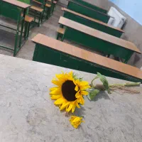 آموزش دروس پایه ی دوم ابتدایی