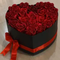 گل ربانی|گل مصنوعی|قشم, |دیوار