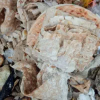 نان خشک