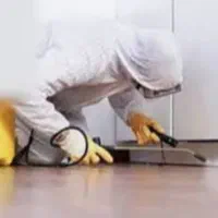 سم پاشی ،سمپاشی موریانه ،ریشه کنی موریانه