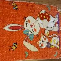 پتو نوجوانی|رختخواب، بالش، پتو|قوچان, |دیوار