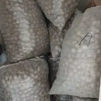 گردو درجه ۱ بوانات|خوردنی و آشامیدنی|شیراز, پودنک|دیوار