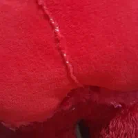 خرس قرمز|اسباب‌بازی بچه|اهواز, پردیس|دیوار
