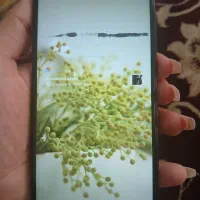 سامسونگ Galaxy A10 با حافظهٔ ۳۲ گیگابایت|موبایل|کرج, عظیمیه|دیوار