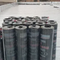 ایزگام،قیرگونی، آسفالت