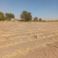 زمین زراعی کشاورزی حاصلخیز نزدیک آب|فروش زمین و ملک کلنگی|باروق, |دیوار