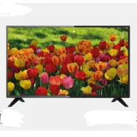 نو نو پلمپ|تلویزیون و پروژکتور|بندر کنگان, |دیوار