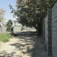 باغچه چهاردیواری ۲۰ دقیقه ای تهران