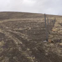 فروش-زمین-کشاورزی-قایان