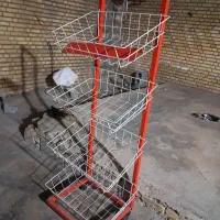 قفسه