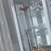 بوفه