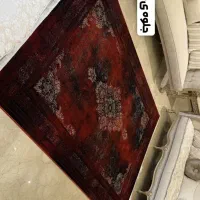 سلطان افشان درباری ۱۲۰۰|فرش|شیراز, ریشمک|دیوار