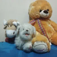 معاوضه با هر چی فندک یا ....|اسباببازی بچه|چهاردانگه (تهران), |دیوار