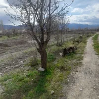 فروش زمین ویلایی دونبش