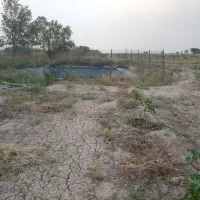 باغ پسته ورامین۴۴۰۰متر