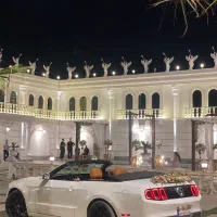 اجاره فورد موستانگ کروک|خدمات پذیرایی، مراسم|رشت, استقامت ۱|دیوار