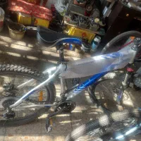 دو چرخه فونیکس|دوچرخه، اسکیت، اسکوتر|فولادشهر, B1|دیوار