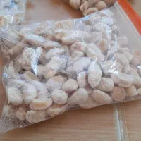 گشک|خوردنی و آشامیدنی|پاکدشت, شهرک امام رضا|دیوار