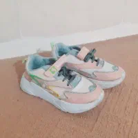 کفش و کیف|کیف، کفش، کمربند|گرگان, |دیوار