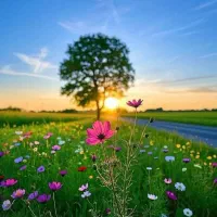 فروش زمین شبانکاره