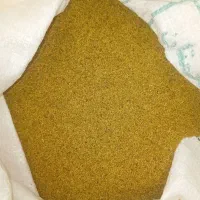 بذر یونجه