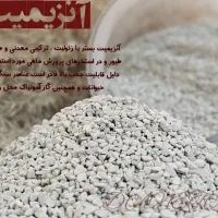 آنزیمیت بستر