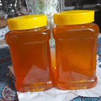 عسل سبز کوه چهار محال بختیاری اصل ودرجه یک