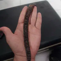 تسبیح|کلکسیون و سرگرمی|بروجرد, |دیوار