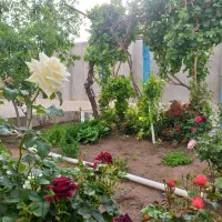 خانه قدیمی روستایی داخل بافت روستا سند تک برگ